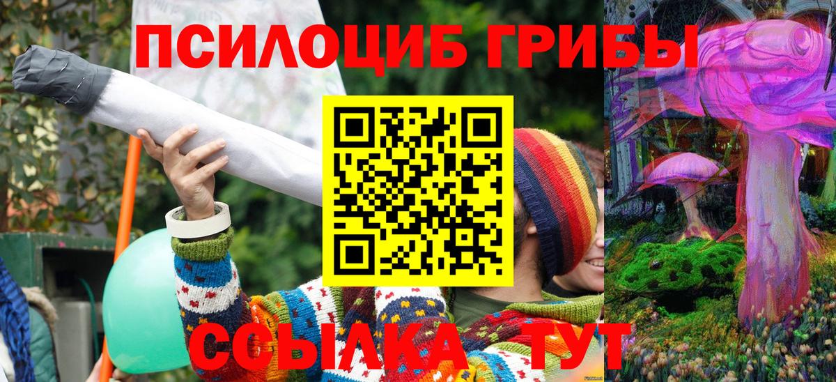 Галлюциногенные грибы мухоморы Новочебоксарск